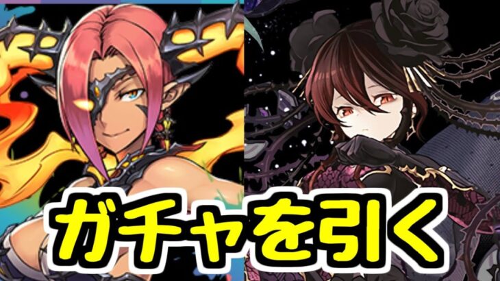 【生放送】星を紡ぐ精霊とガンコラをまとめてガチャする【パズドラ】