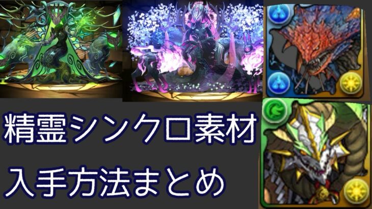 【精霊イベント】【シンクロ素材】【上級、コロシアム】黒薔薇のシンクロ、伝授します【パズドラ】