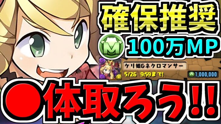 【確保推奨】後悔注意！○体確保すべき！モンポ購入”ケリ姫＆ネクロマンサー”確保解説！【パズドラ】