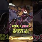 新キャラ”ロゼッタ”がぶっ壊れ性能だったのでご紹介【星を紡ぐ精霊　パズドラ】