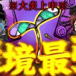 【絶賛炎上中】炎上から生まれた環境最強……ロゼッタ世界最強編成の組み方！(常闇風)【パズドラ】