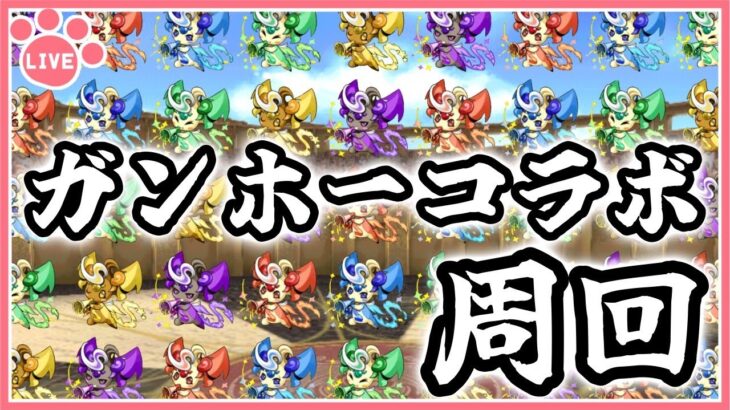 【パズドラ】ガンコラ周回してピィ乱獲！【雑談】