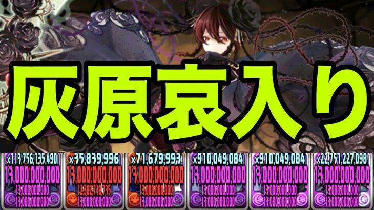 俺の完成した『灰原哀入りロゼッタ最強編成』見てくれよ【パズドラ】
