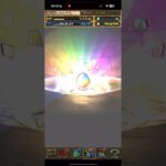 ロゼッタ沼にハマる男【パズドラ】