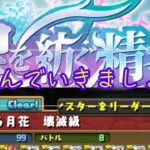 パズドラ配信　星を紡ぐ精霊コロシアムやるよ［参加型］